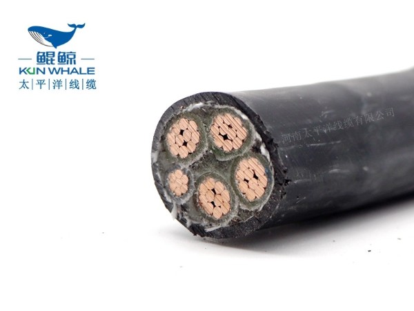 低煙無鹵電纜應(yīng)用在哪些場所你知道嗎？
